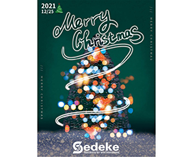 Sedeke wish you Merry Christmas and Happy New Year, along that extend our wishes for good health and happiness to your family.